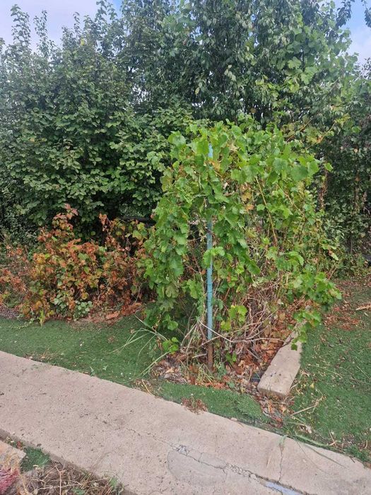 Продаю или обменяю дачу на Бугорках