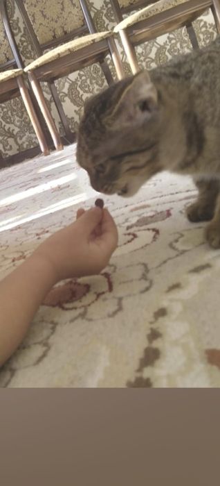 Продается ковёр отличный