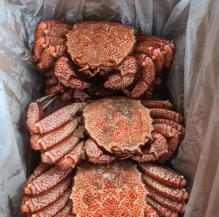 Клешни краба,камчатский краб,живые раки,варенные раки,креветки