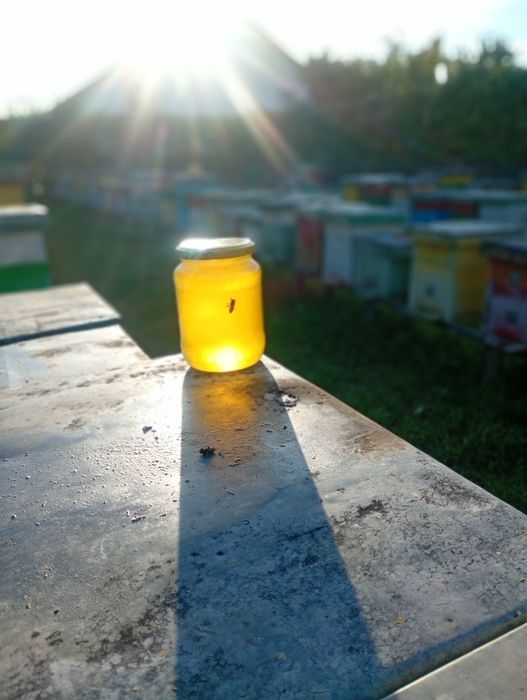 Vând miere de tei producție 2026