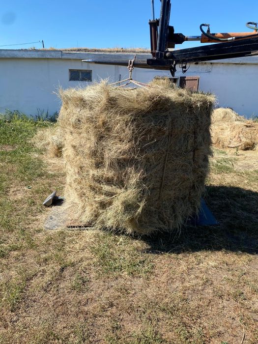 Продам сено рулон разнотравие 8000 тг