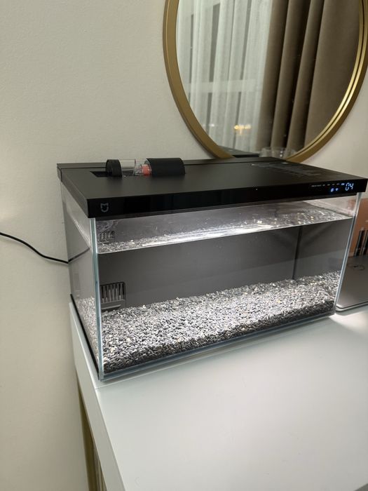 Аквариум Ксиоми