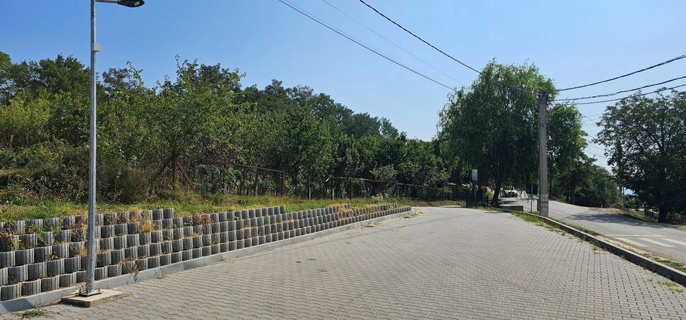 Teren Intravilan Sandulesti 39€/m² Negociabil