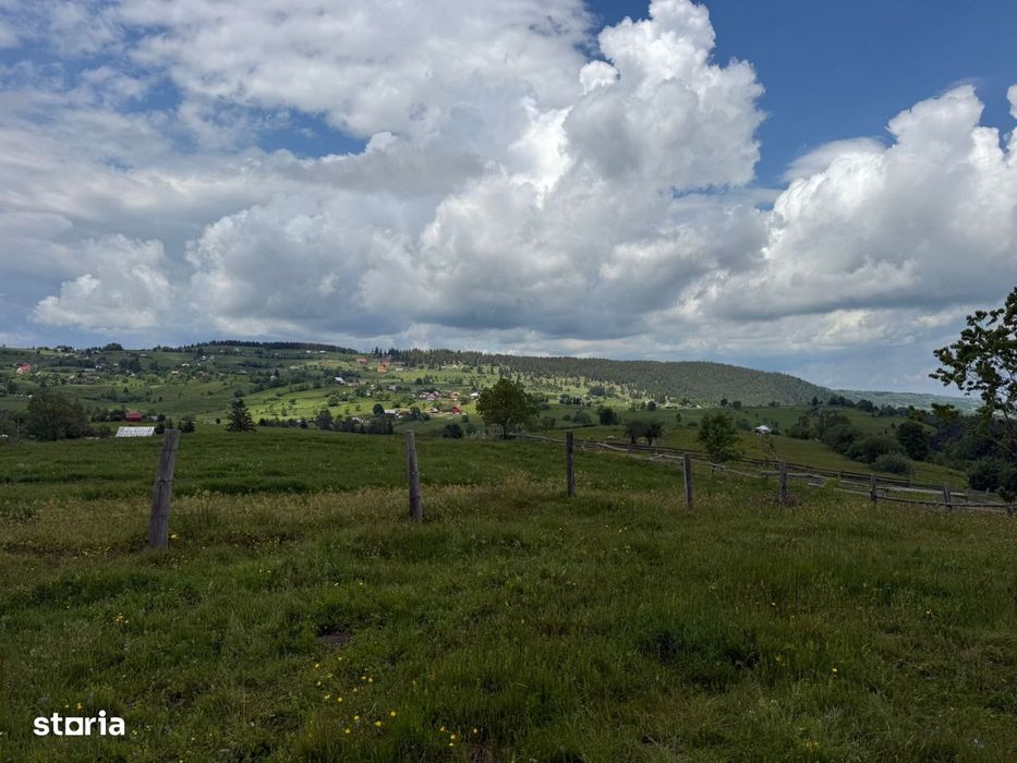 Teren | 13600 mp | Marisel