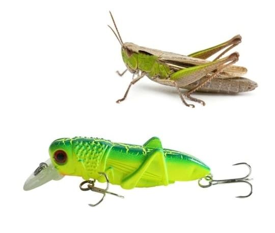 Продам нашивки с крючками