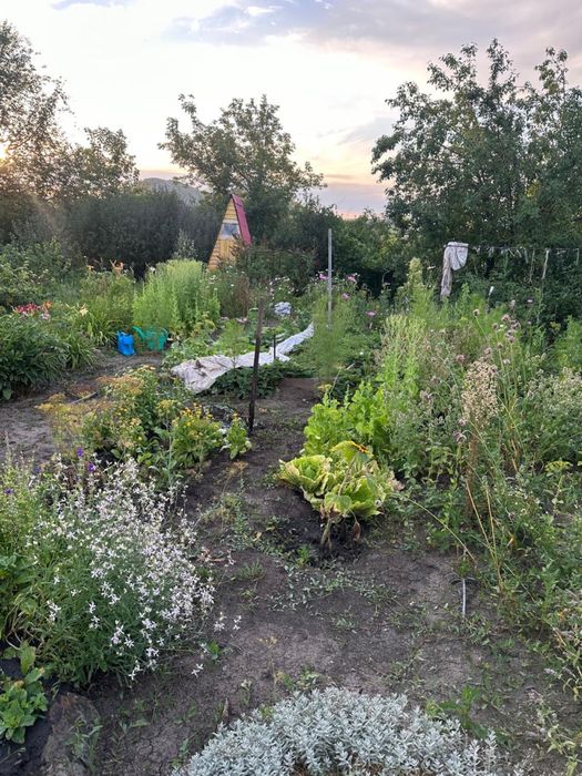 Продам дачу в Ново-Ульбинке