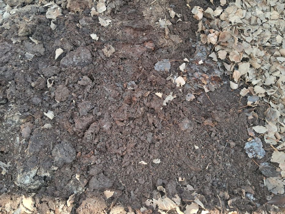 Перегной, навоз, көң