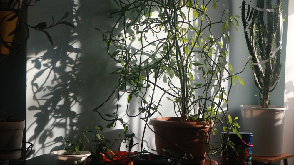 Продается камера Canon 750D (Rebel T6i)