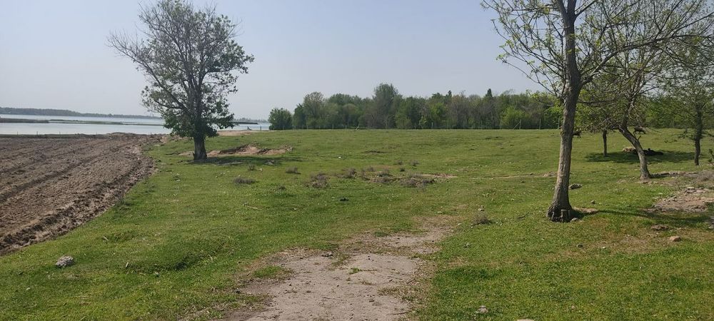 Продаётся земля 8-гектар Ташморе