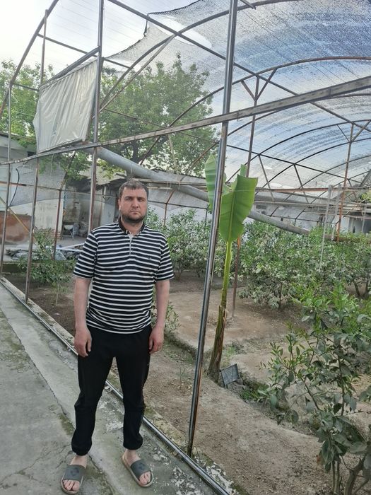 Issiqxona qurish hizmati