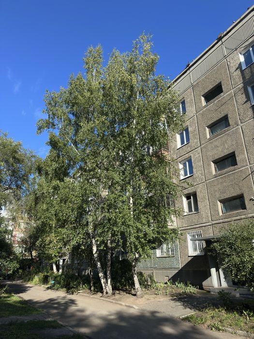1 комнатная квартира