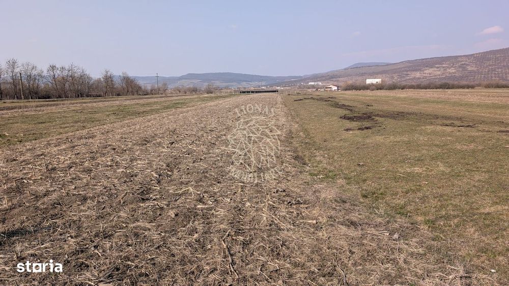 Teren intravilan 1500 mp cu utilitati-Orheiu Bistritei