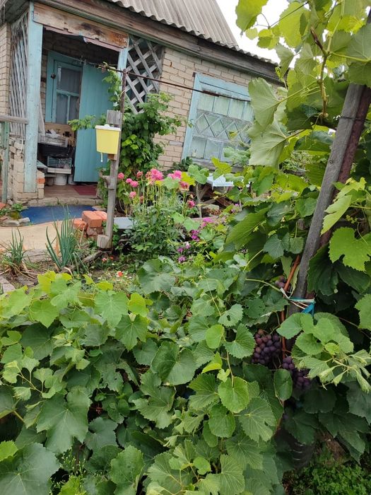 Продам дачу в обществе Колос