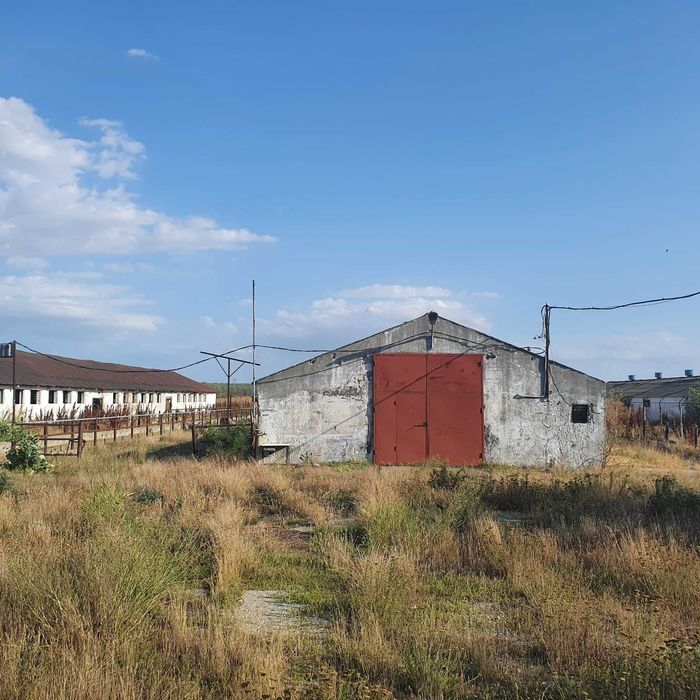 Ferma agricola,de vanzare