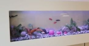 Продам новые стильные аквариумы