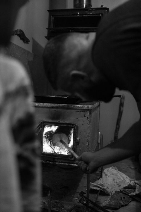 Дава се под наем Парцел в с. Гълъбово, Област Пловдив - 100 кв.м за 255 € - Снимка #6