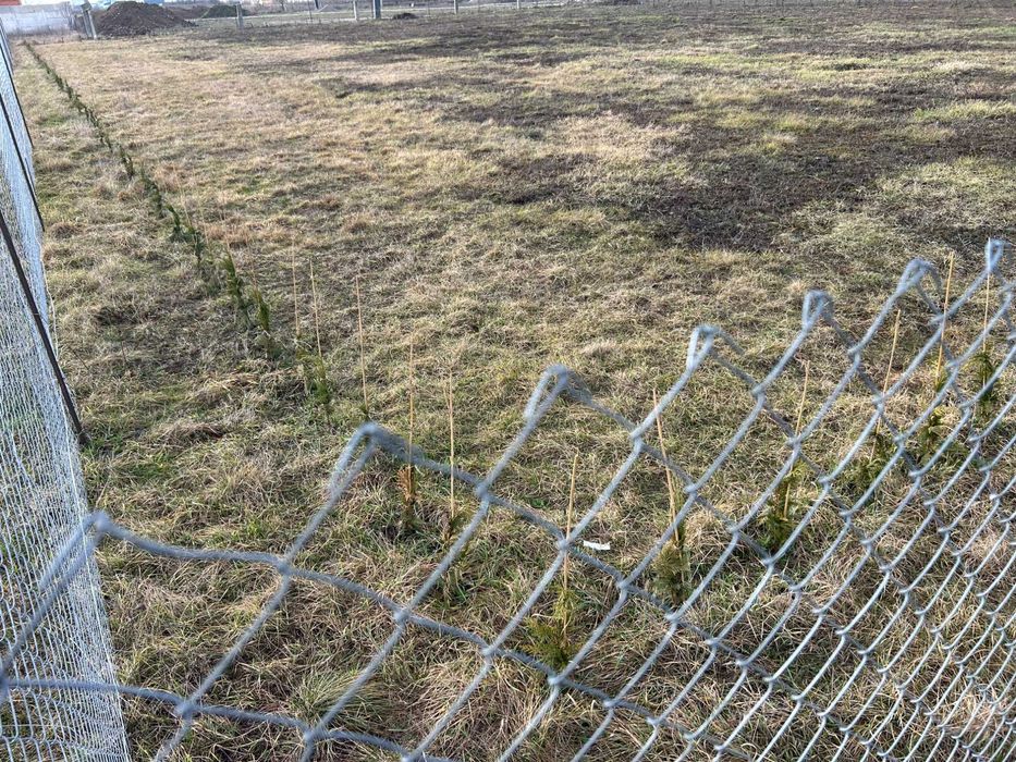 Teren intravilan de închiriat Osorhei Jud.BH | DN E60 | Front S.Mare