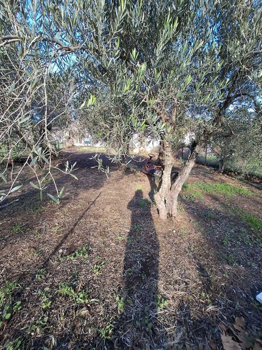 Продава се парцел с площ 250 м2 в кв. Ривиера, Аспровалта, Гърция