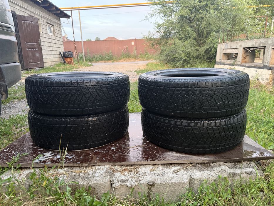 Продам ризины р17