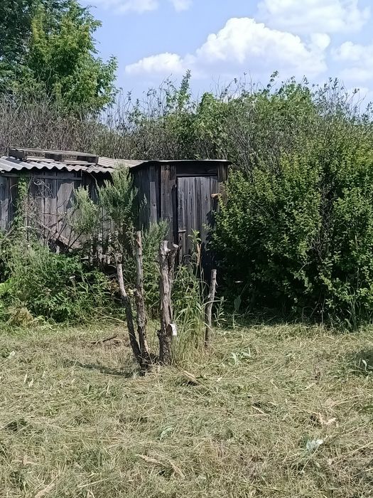 Продам дачный участок