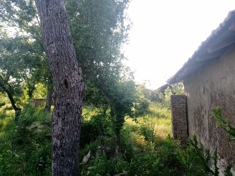 Продава се Къща в с. Каспичан, Област Шумен - 135 кв.м за 302 €/кв.м - Снимка #6