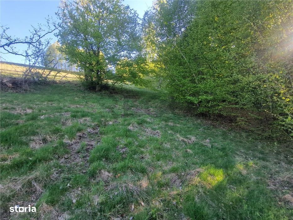 RECO, teren intravilan, Zona Sinteu, Bihor