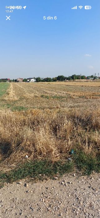 Teren de vânzare Măgurele – Vârteju | 2500 mp | Strada Poligonului