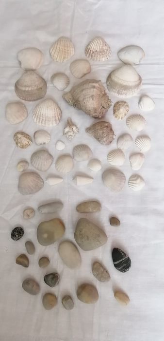 Продам для аквариума