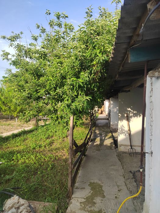 Sirdaryo shaxrida uy sotladi