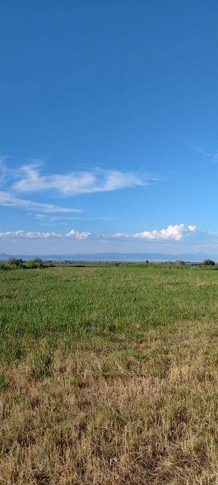 Продам земельный участок 2 гектара.