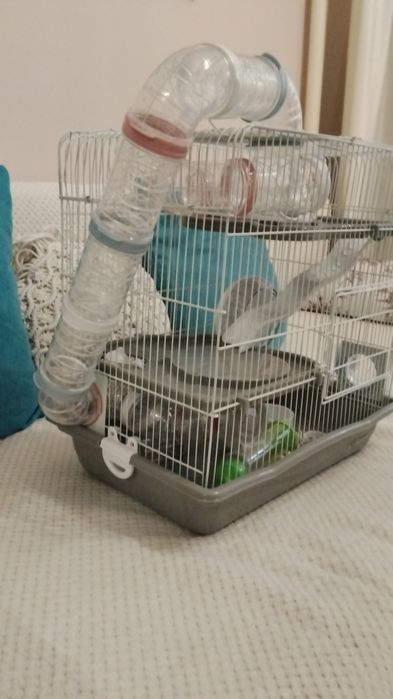 Больша клетка для грызуна