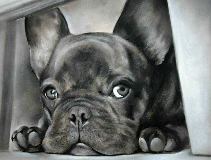 Рисуване на маслени и пастелни портрети