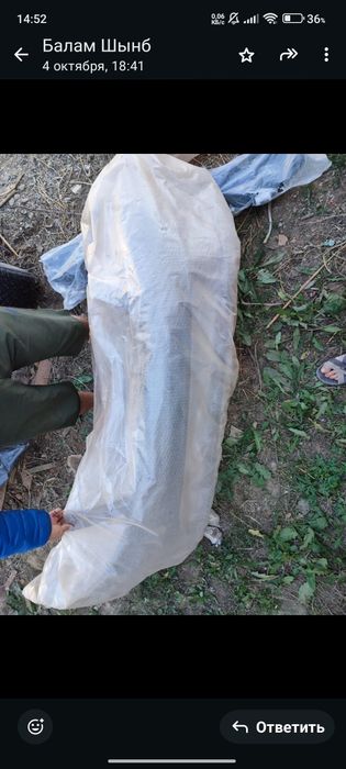 Вампер передный новый оригинал