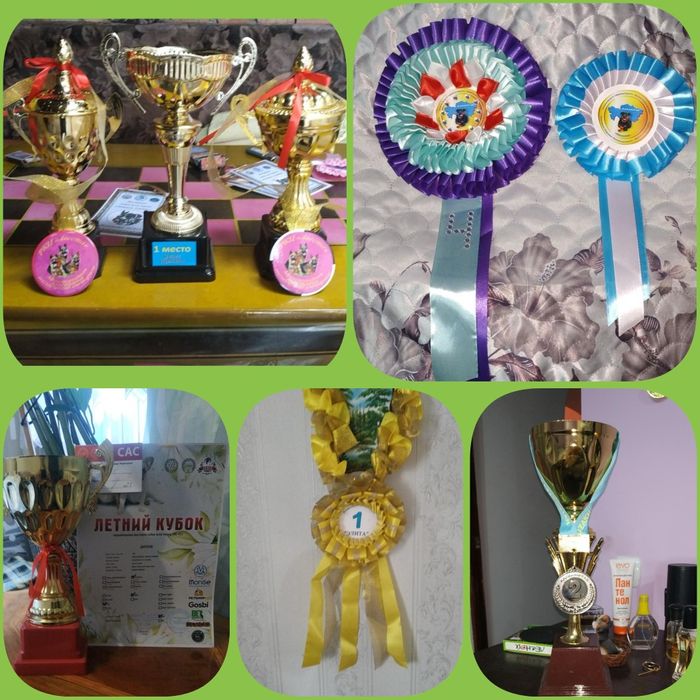 Зоогостиница для собак