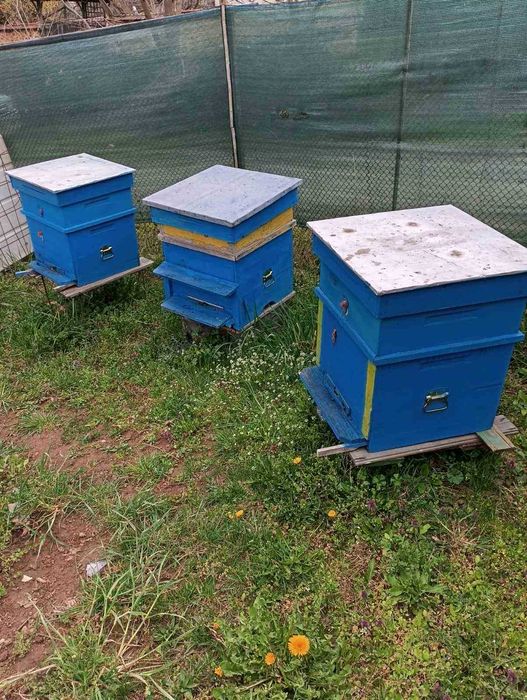 Продавам пчелни семейства
