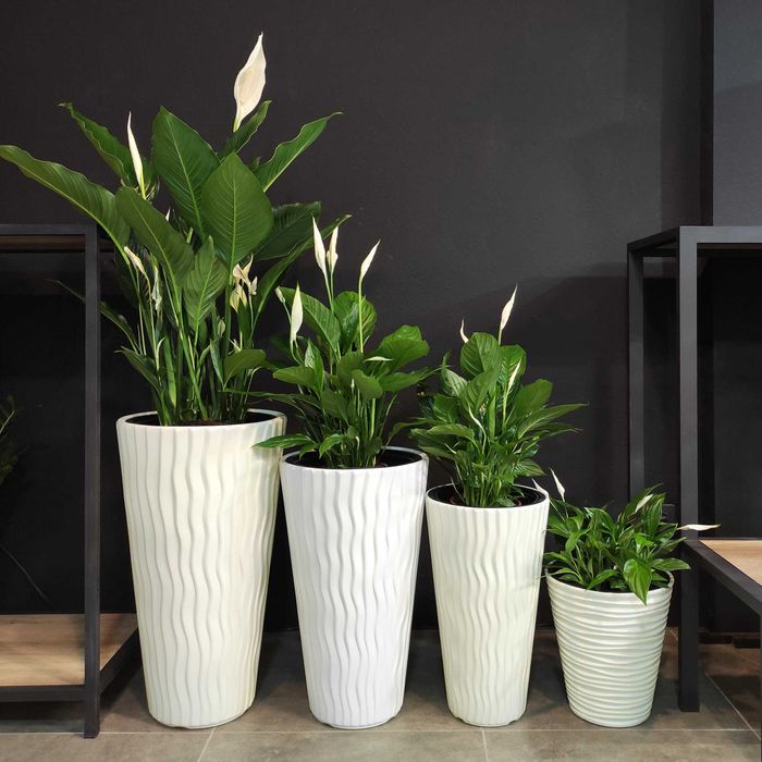 Горшки и кашпо от  Green Town studio