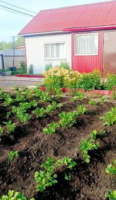 Отличная дача с банькой!