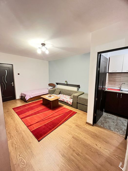 Apartament 1 cameră (garsonieră confort 1)