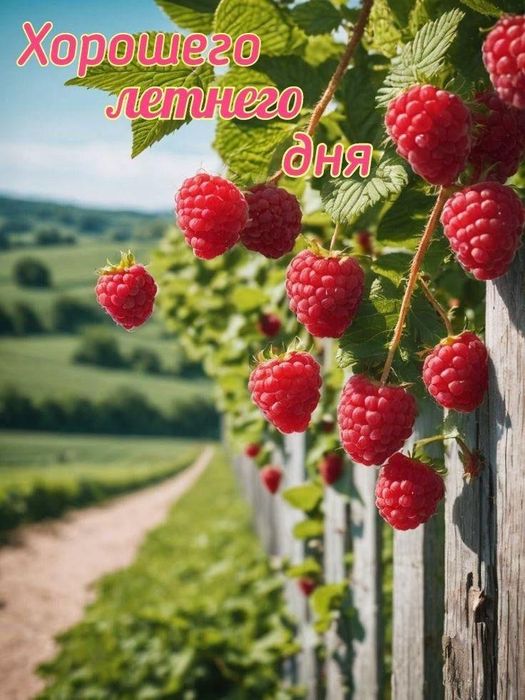 Продам газ баллон