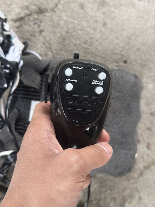 Serena elena smerch arginal