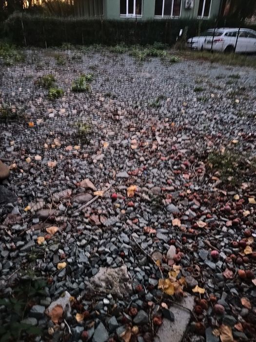 Închiriez teren pentru parcare