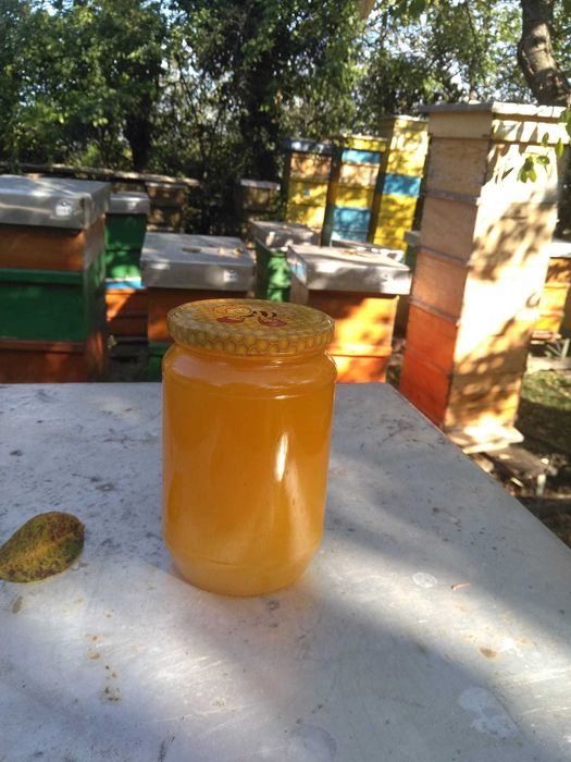 Продавам пчелен мед