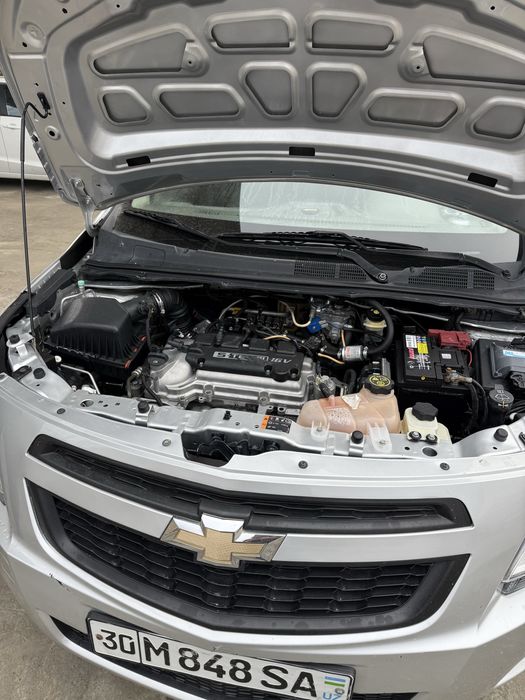 Kobolt 2014 prapan165 yurgan