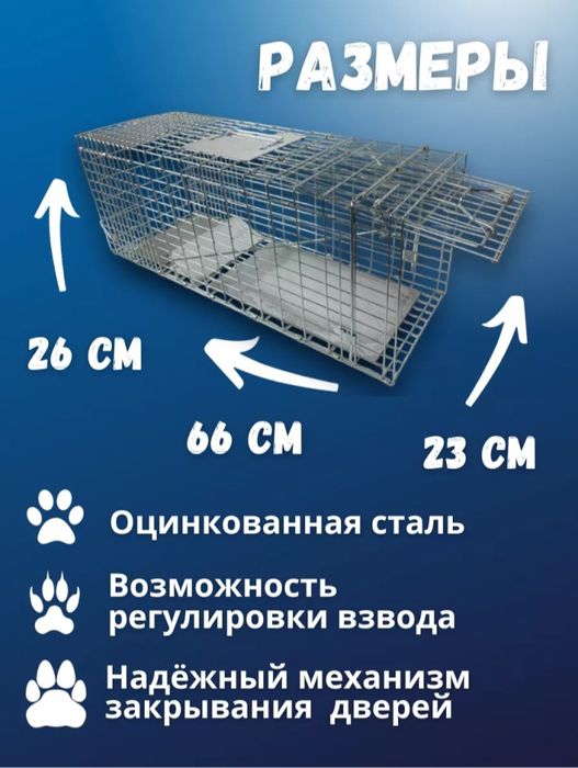 Кошколовка, клетка-ловушка в аренду в аренду