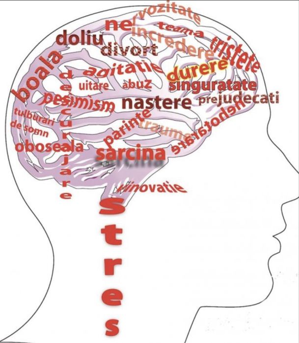 Psiholog clinician, consilier, psihoterapeut Drumul Taberei