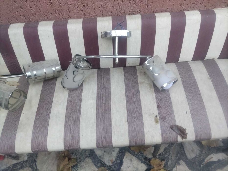 Полилей в добро състояние