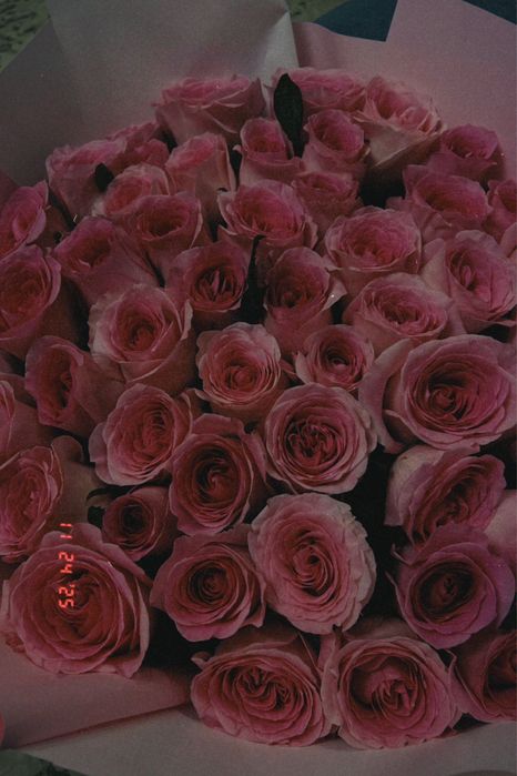 Свежые цветы 51шт