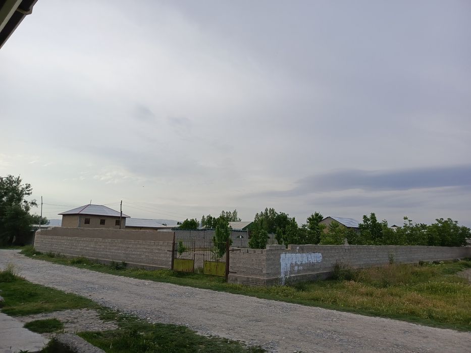 17 sotix yarmi sotiladi . So'tixi 2000$ dan