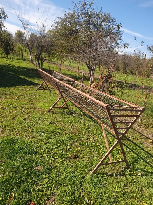 Iesle animale de vanzare