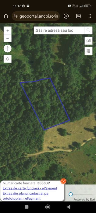 Vand  terenuri împadurite